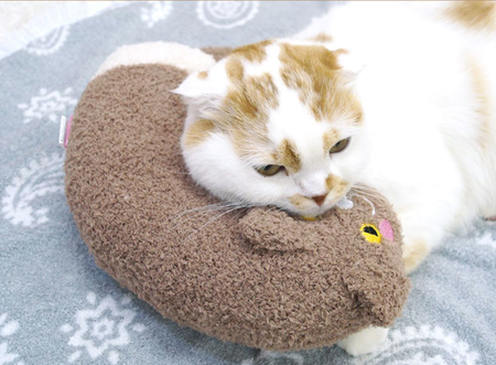 Cattyman Pet Pillow petin