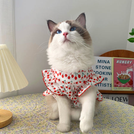 Cherry Lover Lovely Cat Dress petin