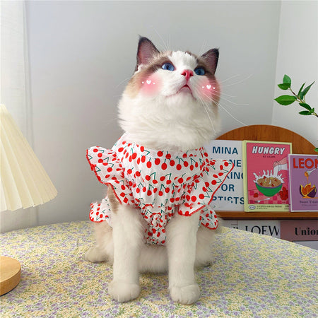 Cherry Lover Lovely Cat Dress petin