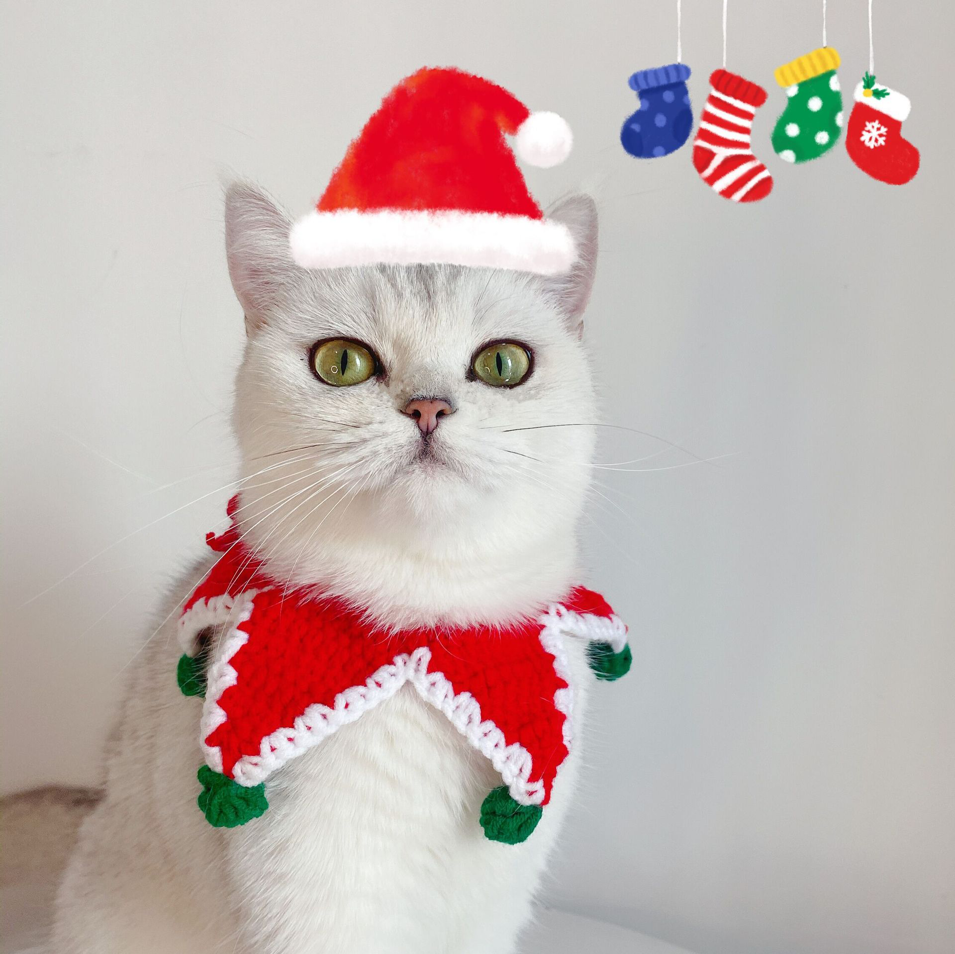 Christmas Five Star Adjustable Cat Knitted Collar petin