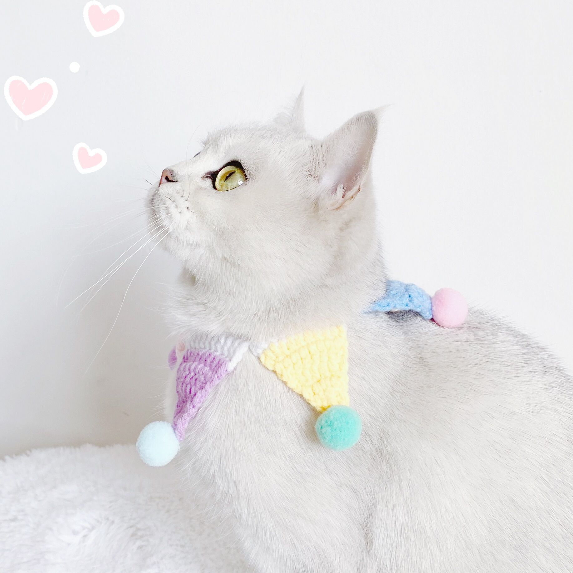 Christmas Five Star Adjustable Cat Knitted Collar petin