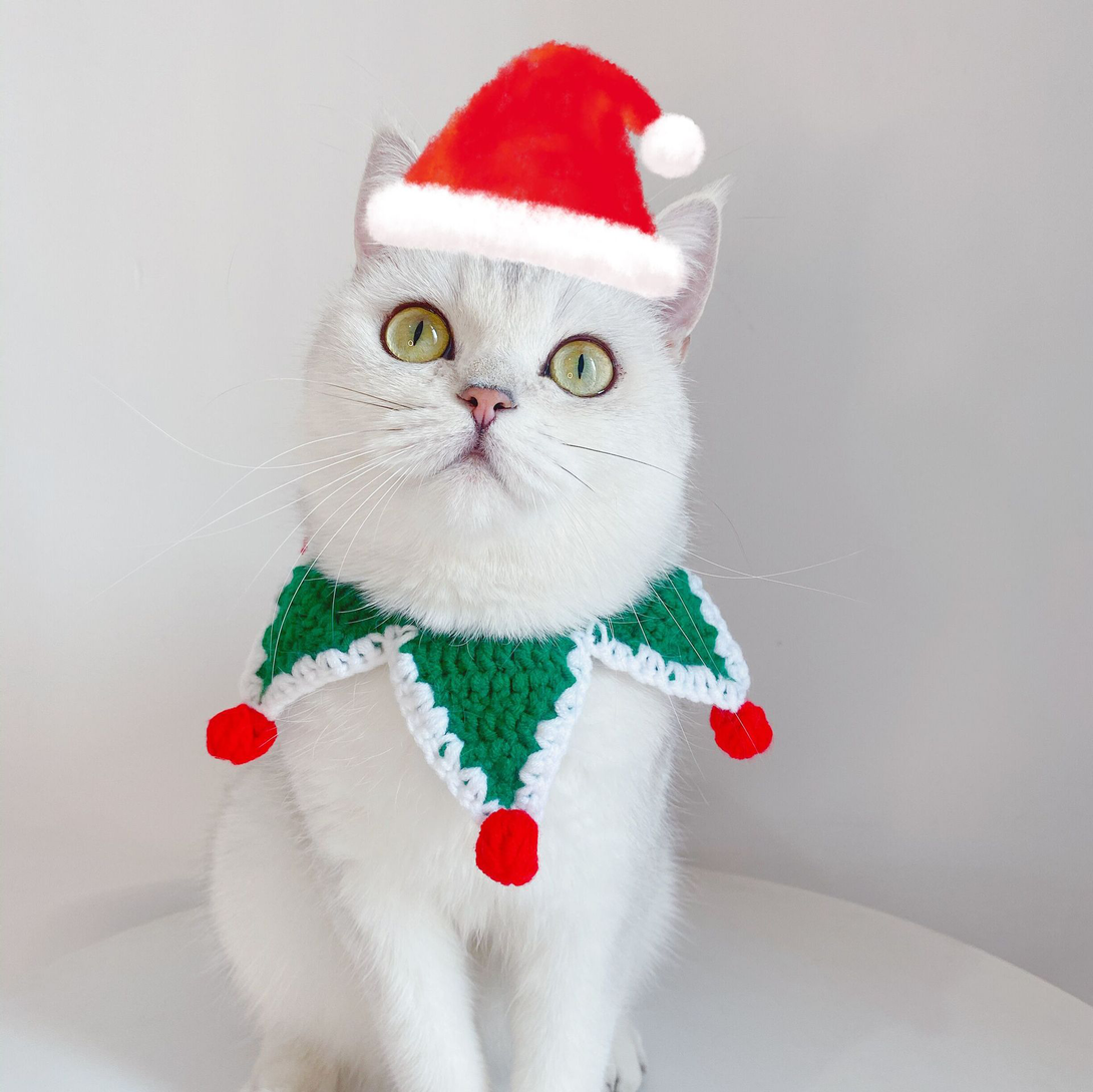 Christmas Five Star Adjustable Cat Knitted Collar petin