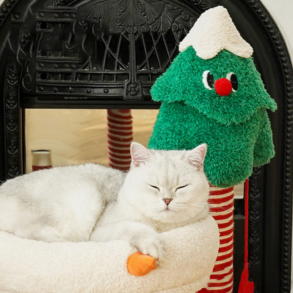 Christmas Series Cat Post petin