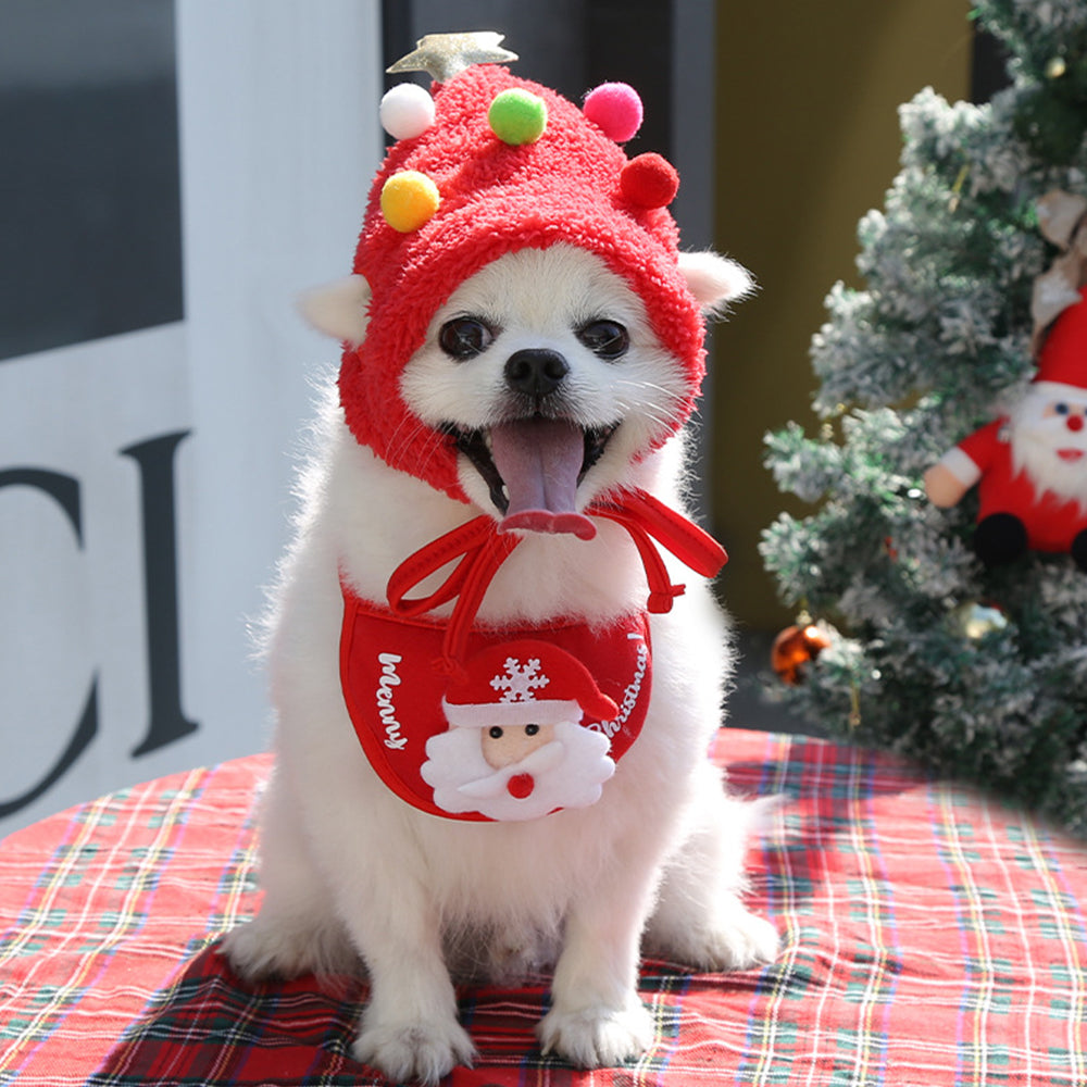 Christmas Series Pet Dress Up Set petin