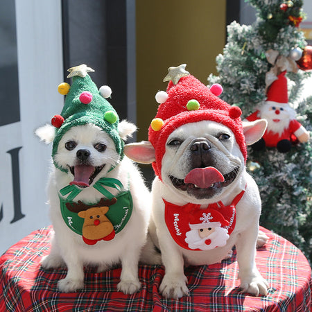 Christmas Series Pet Dress Up Set petin