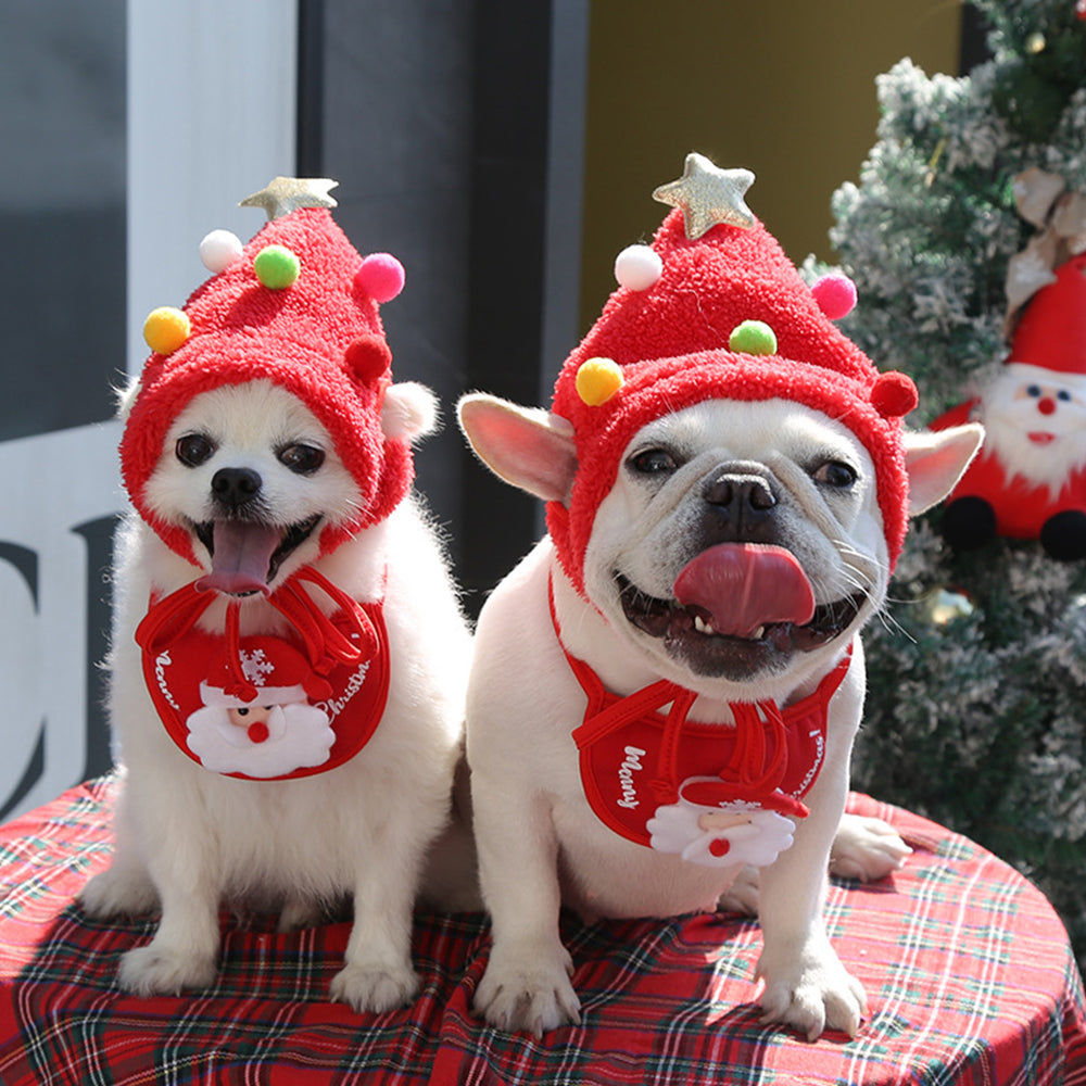 Christmas Series Pet Dress Up Set petin