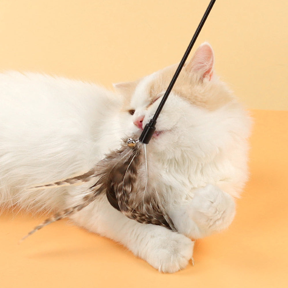 Classic Feather Cat Teaser petin