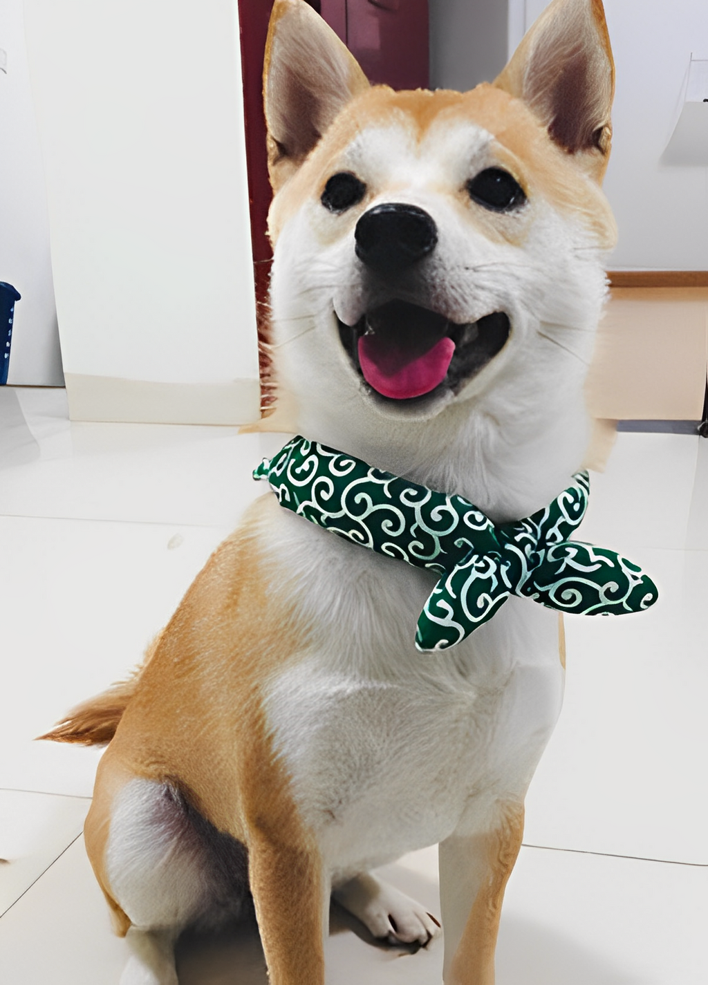 Classic Japanese Printed Dog Bandana petin