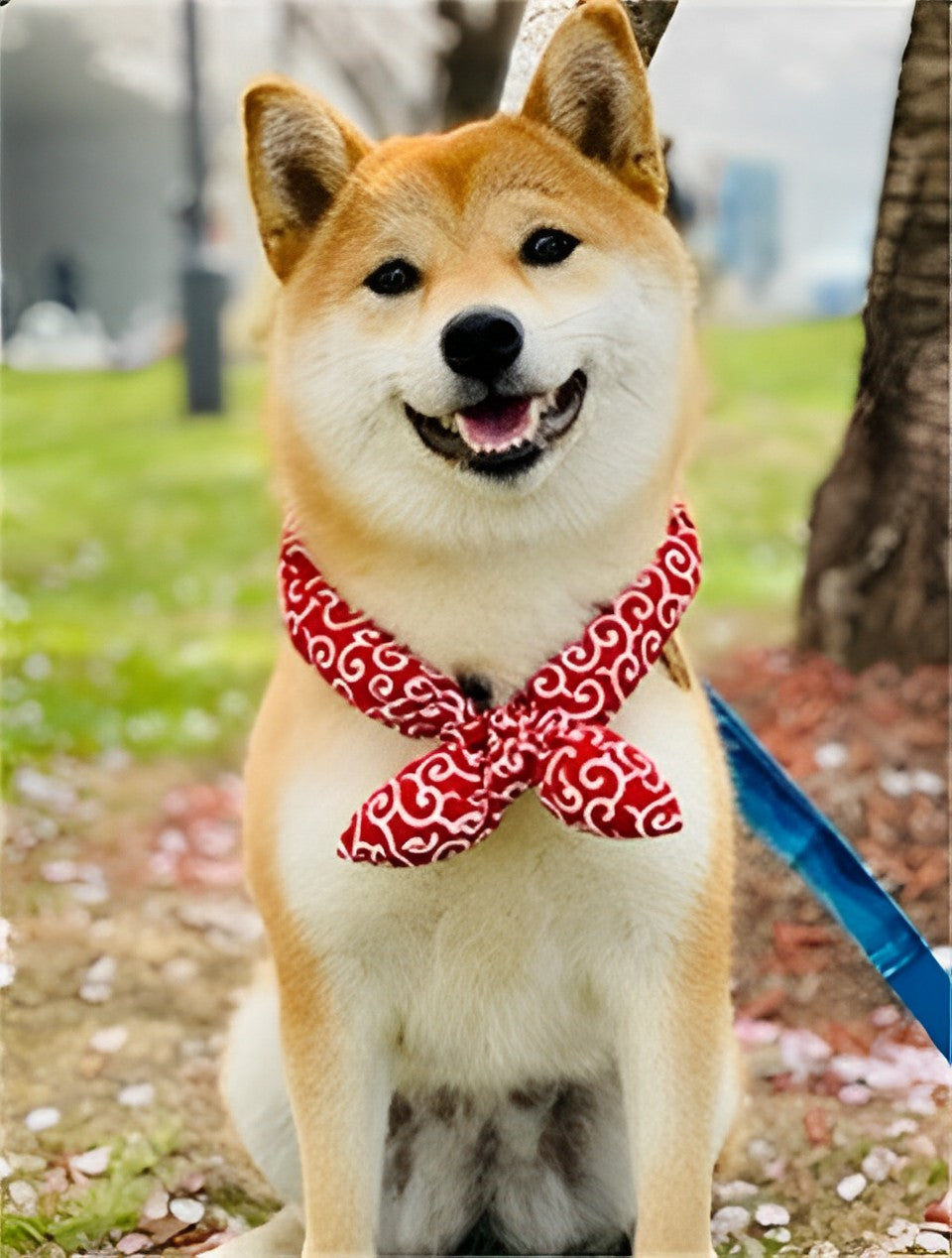 Classic Japanese Printed Dog Bandana petin