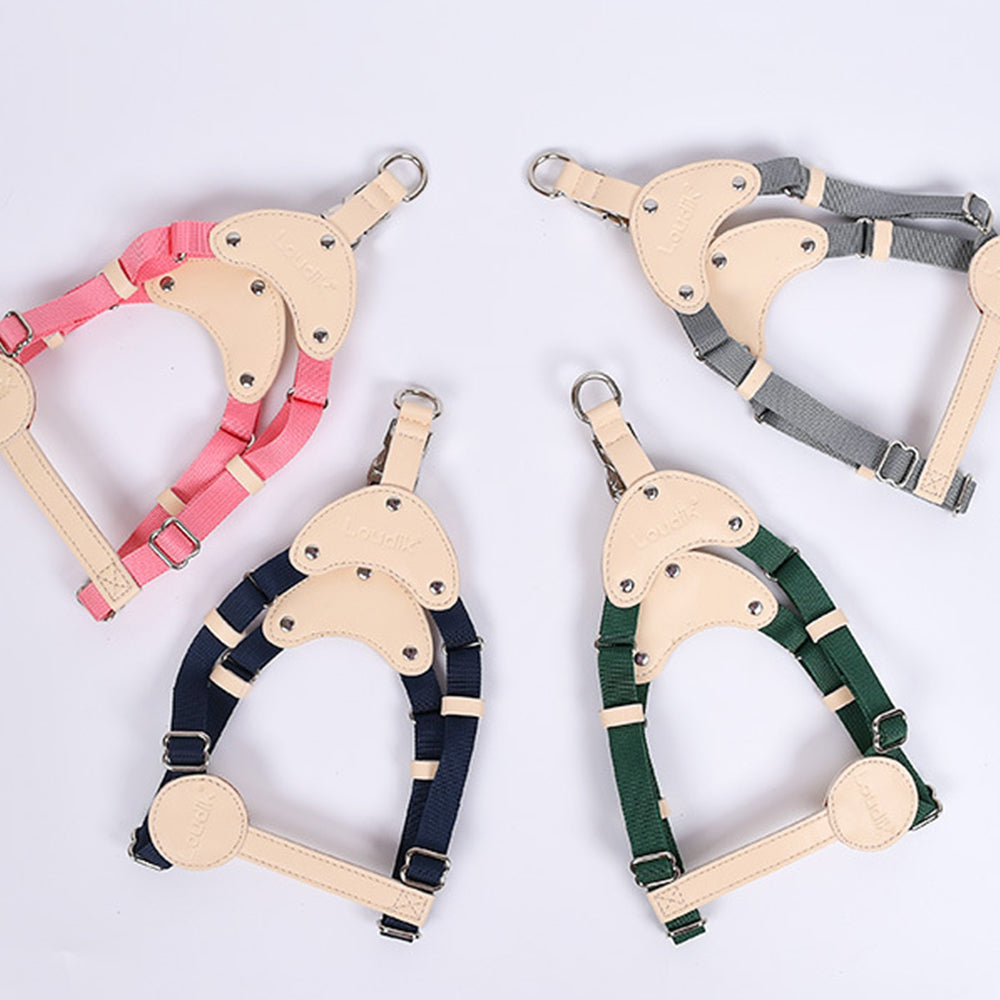Classic Leather and Webbing Dog Harnesses petin