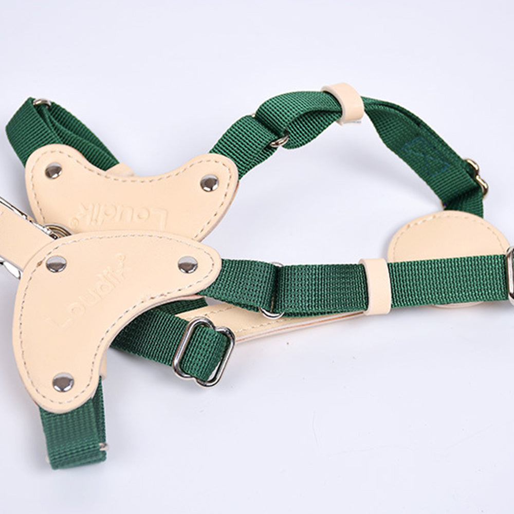 Classic Leather and Webbing Dog Harnesses petin