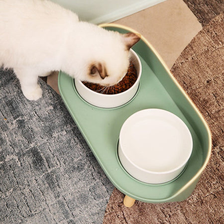 Classic Pet Two Bowls Set petin