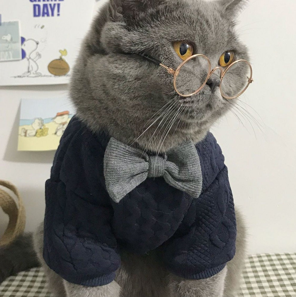 Classic Stretchy Cat Sweater petin