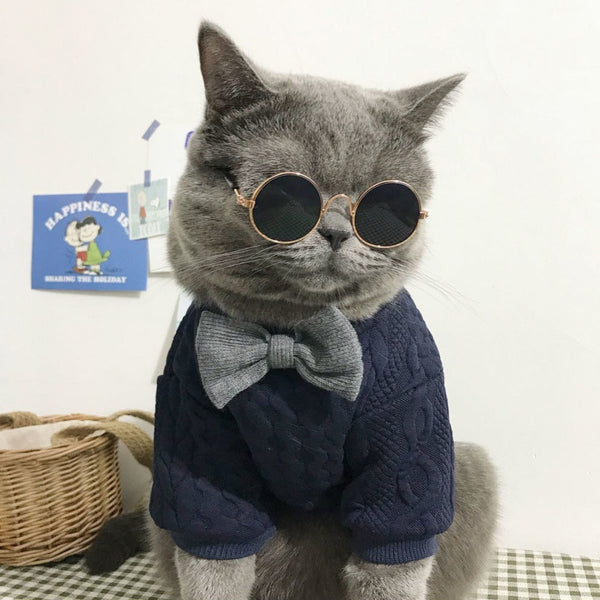 Classic Stretchy Cat Sweater petin