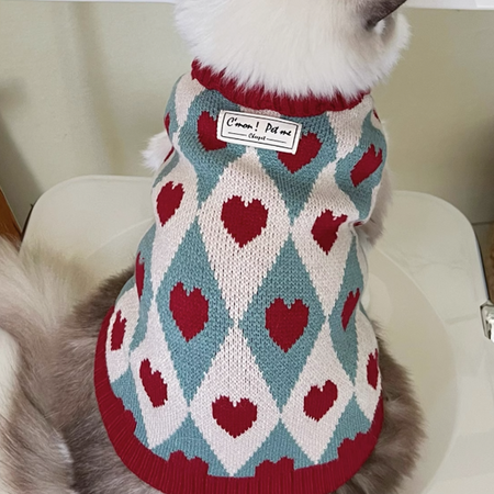 Classic Thickened Warm Cat Sweater petin