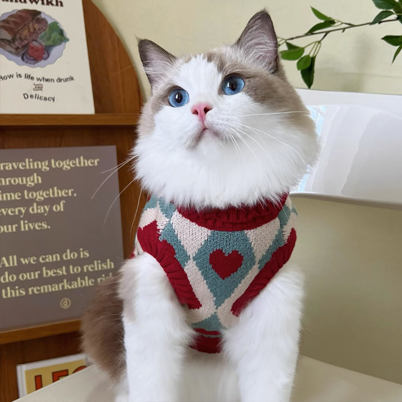 Classic Thickened Warm Cat Sweater petin