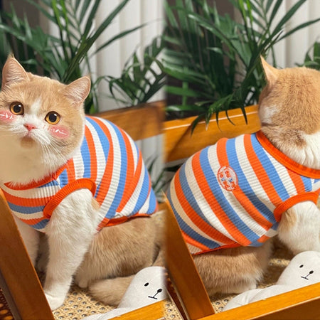 Classic Three-Color Stripe Cat T-shirt petin