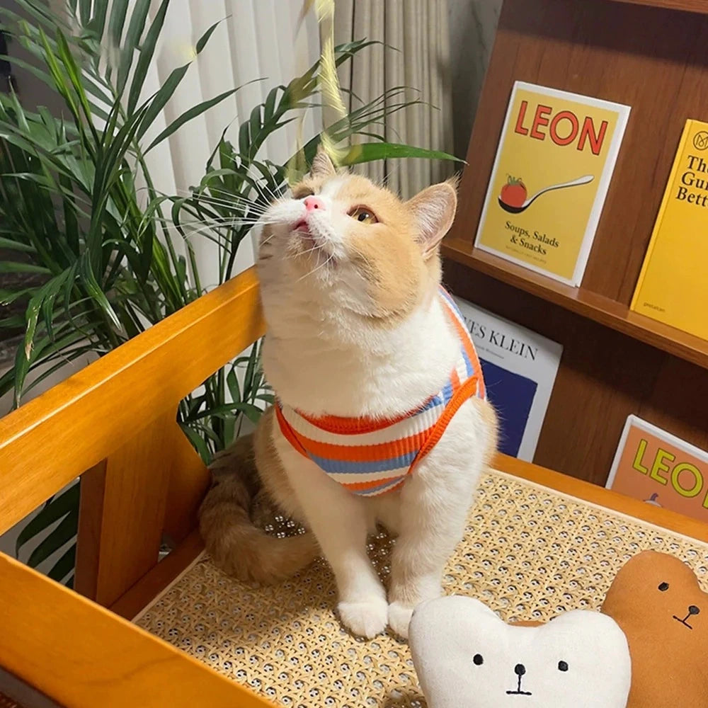 Classic Three-Color Stripe Cat T-shirt 2