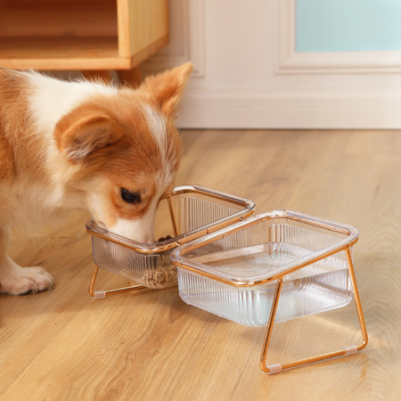 Clear Glass Elevated Pet Food Bowl petin