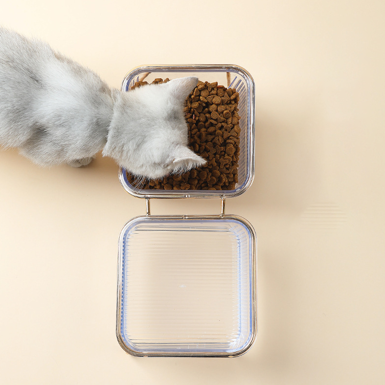 Clear Glass Elevated Pet Food Bowl petin