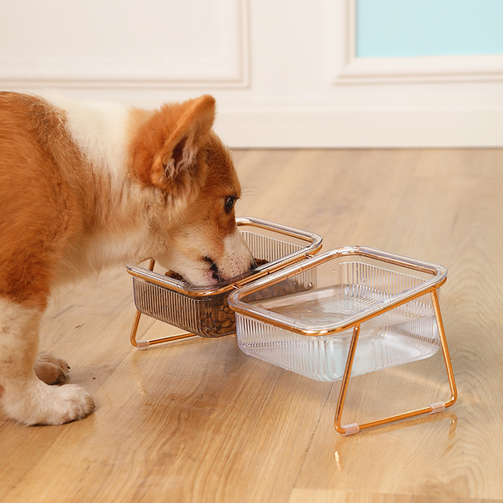 Clear Glass Elevated Pet Food Bowl petin