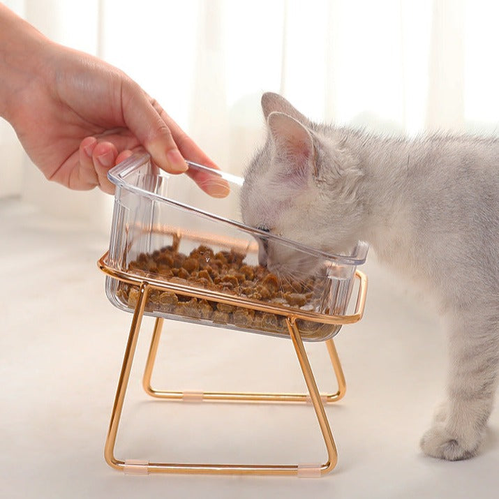 Clear Glass Elevated Pet Food Bowl petin