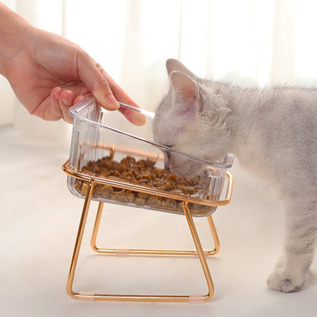 Clear Glass Elevated Pet Food Bowl petin