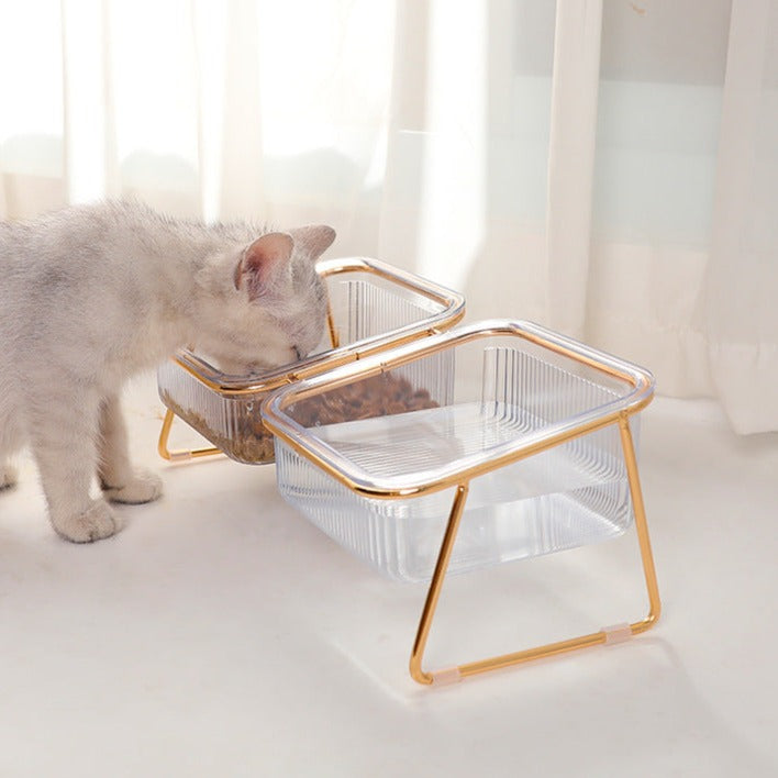 Clear Glass Elevated Pet Food Bowl petin