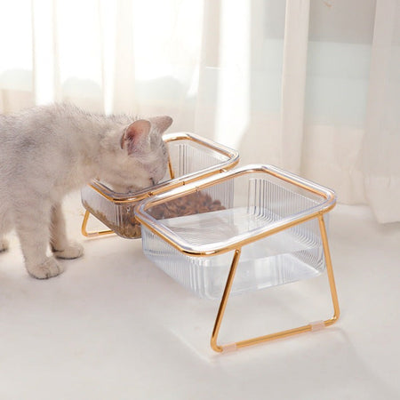 Clear Glass Elevated Pet Food Bowl petin