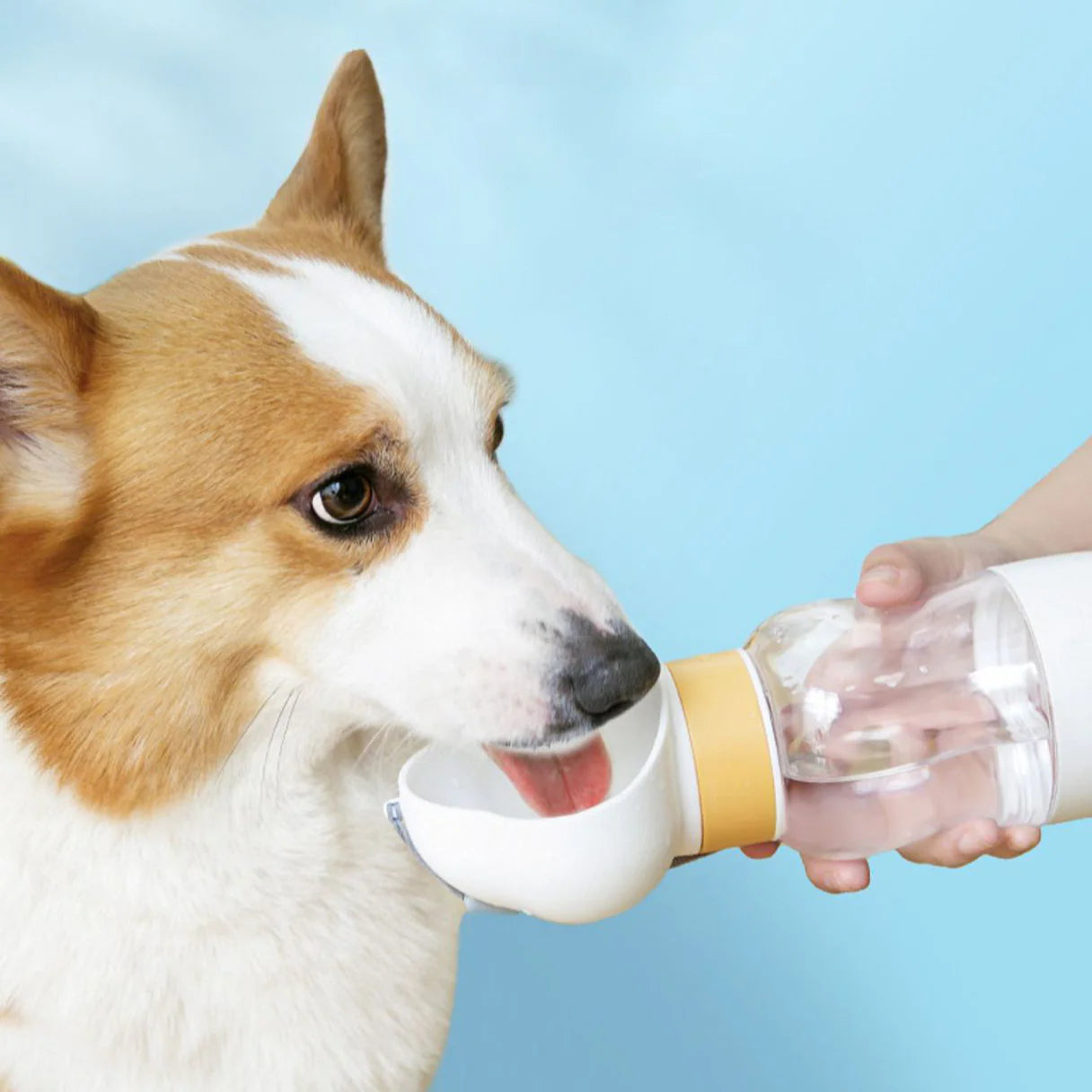dog water drinking bottle​ 2
