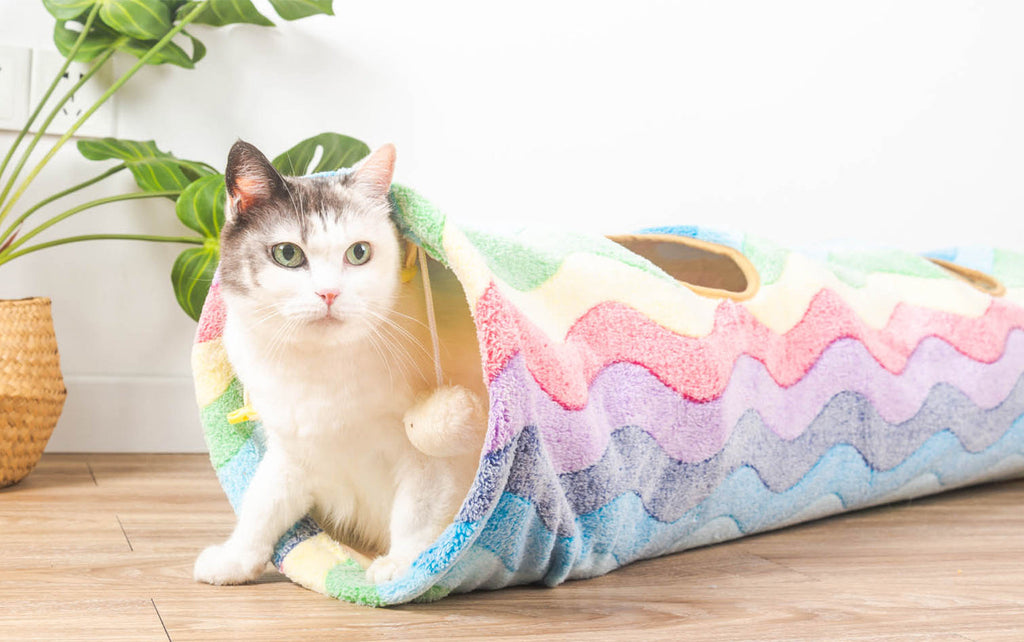 Collapsible Rainbow Cat Tunnel petin