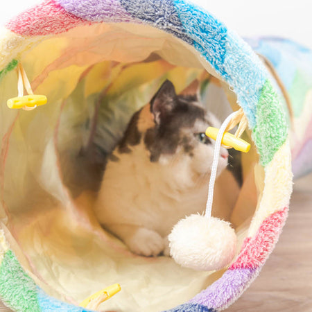 Collapsible Rainbow Cat Tunnel petin