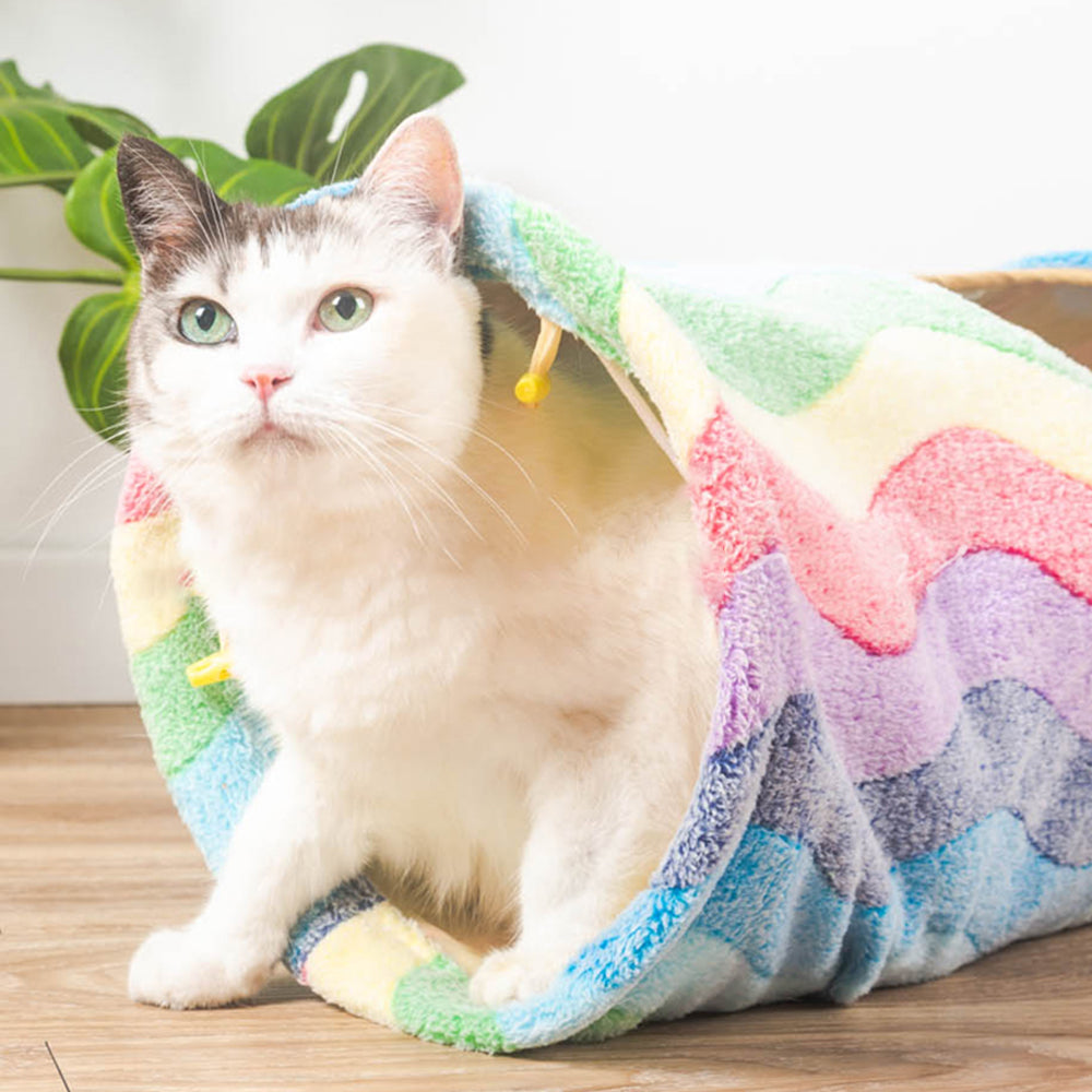 Collapsible Rainbow Cat Tunnel petin