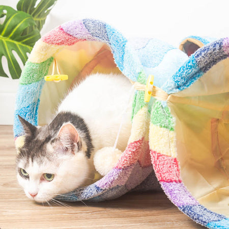 Collapsible Rainbow Cat Tunnel petin