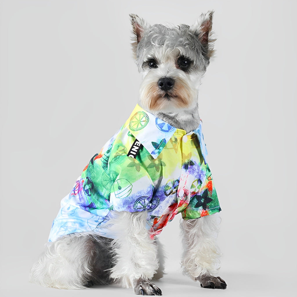 Color Graffiti Fashion Dog Shirt petin