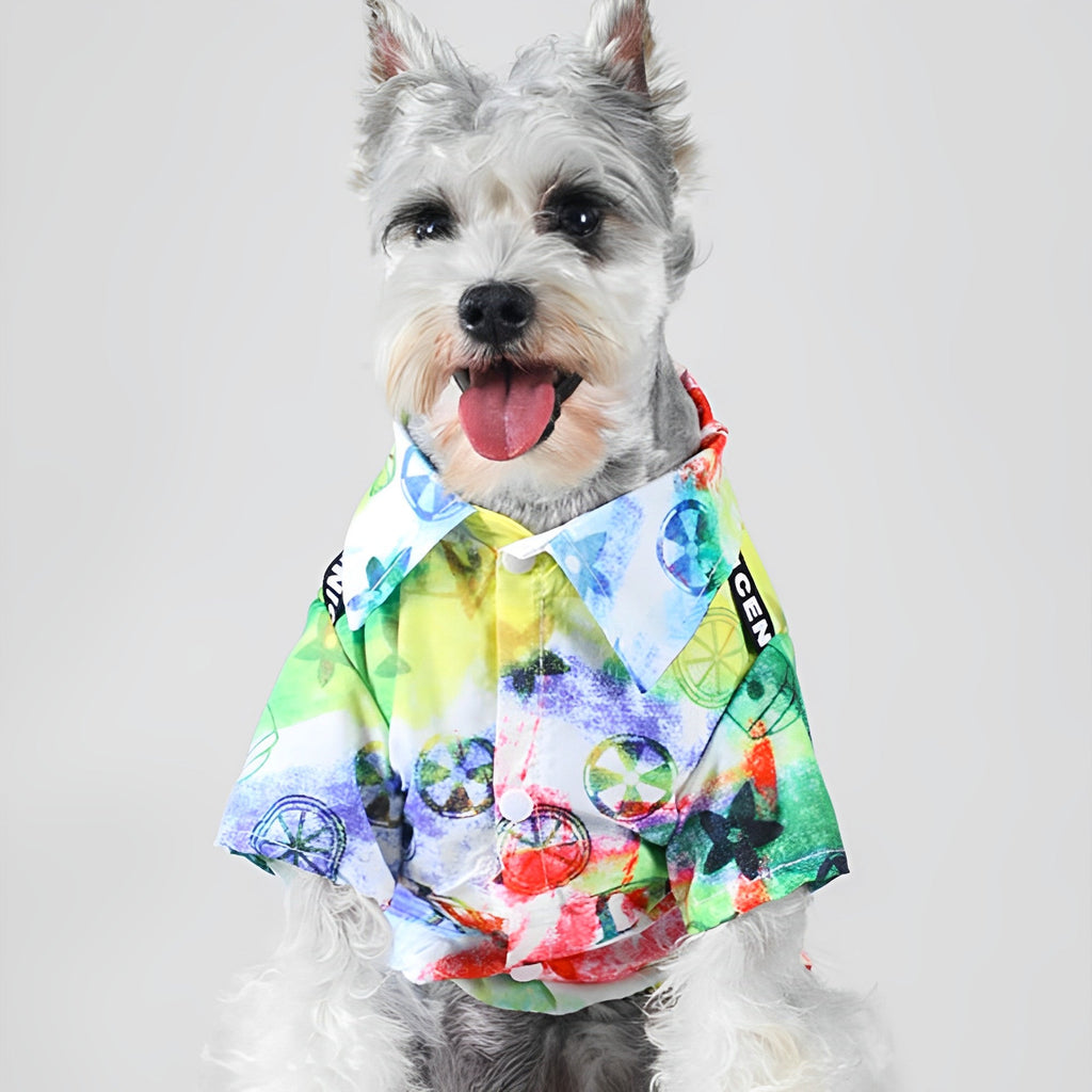 Color Graffiti Fashion Dog Shirt petin