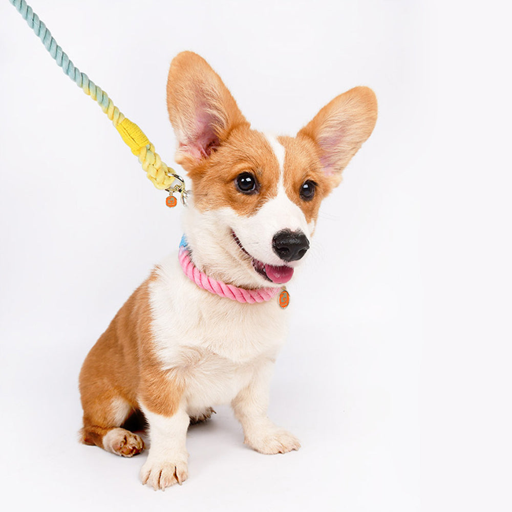 Colorful Anti-choke Dog Collar&Leash Set petin