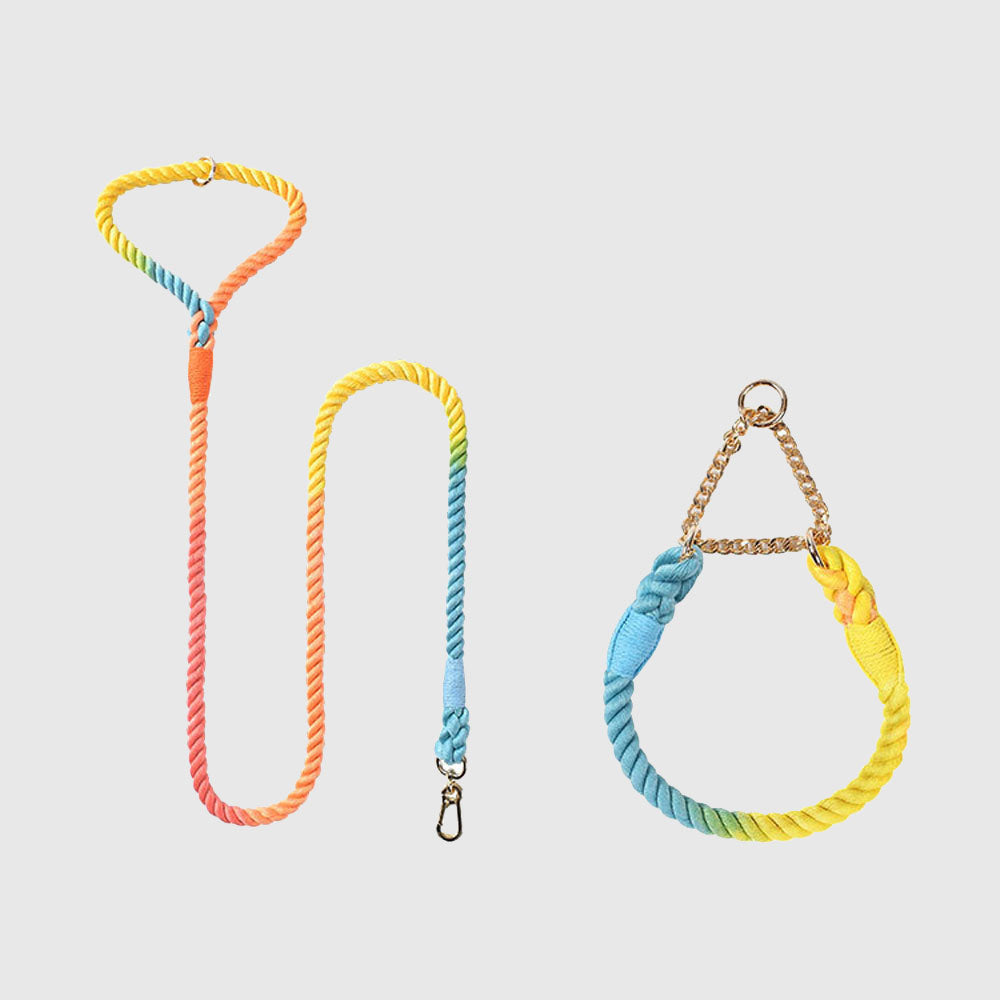 Colorful Anti-choke Dog Collar&Leash Set petin