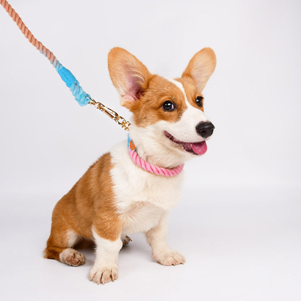 Colorful Anti-choke Dog Collar&Leash Set petin