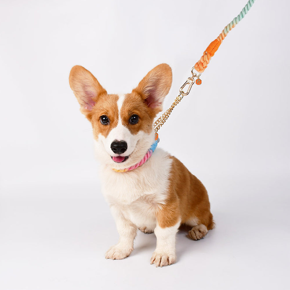 Colorful Anti-choke Dog Collar&Leash Set petin