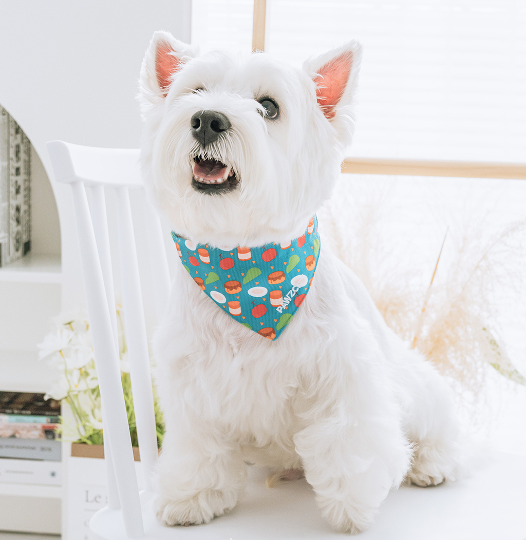 Colorful Fruit Dog Bandana petin