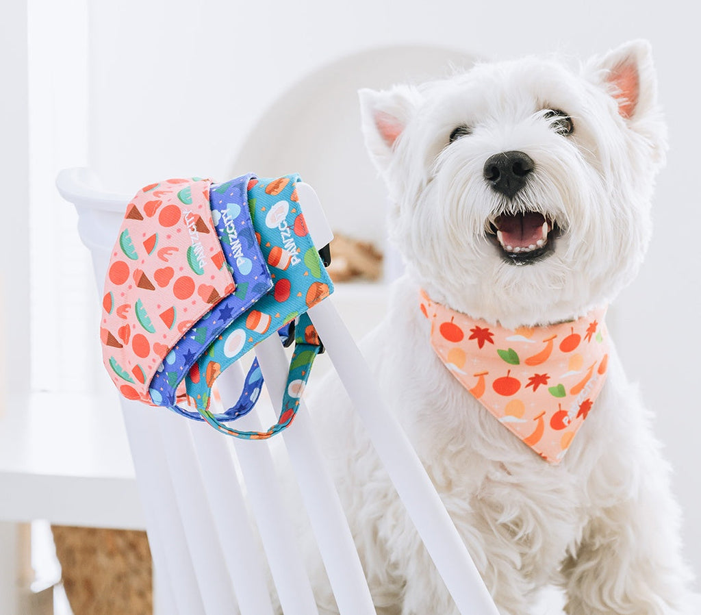 Colorful Fruit Dog Bandana petin