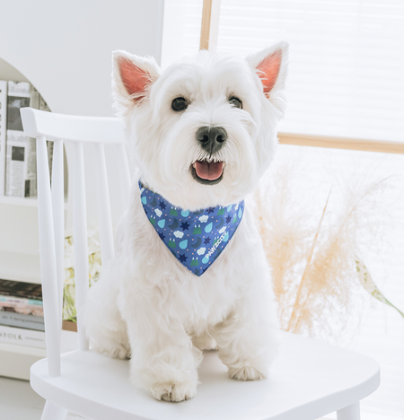 Colorful Fruit Dog Bandana petin