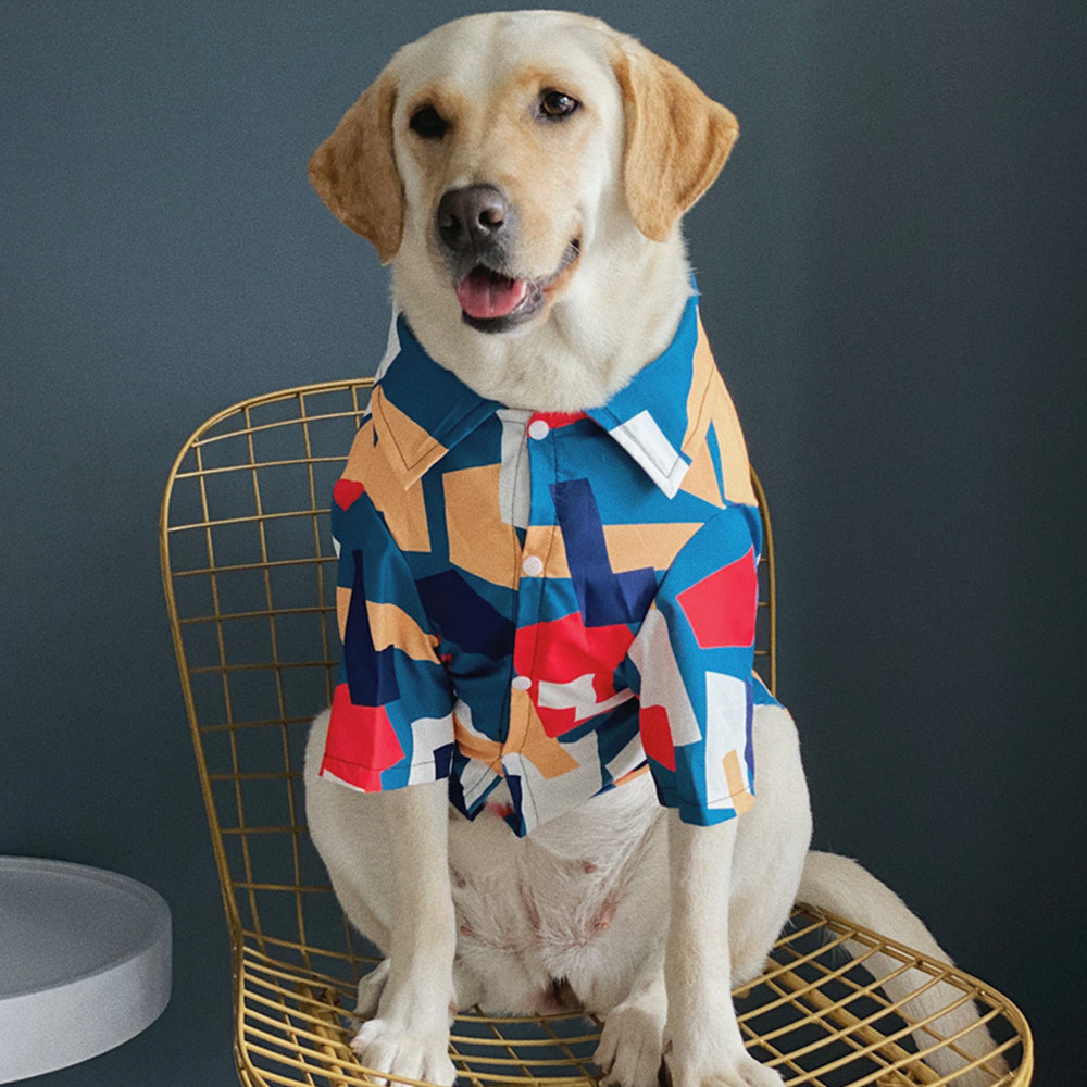 Colorful Geometric Fashion Dog Shirt petin