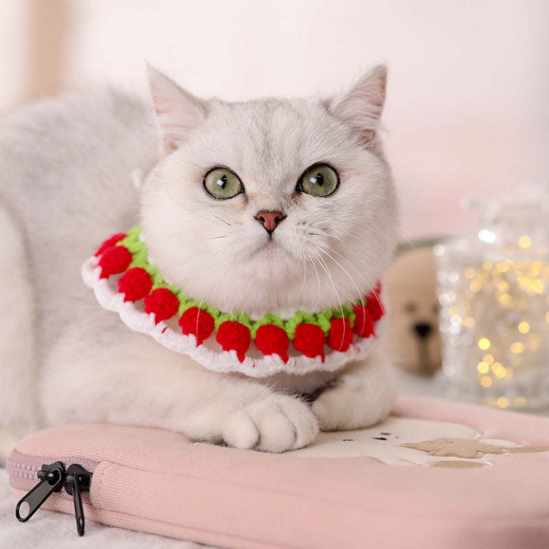 Colorful Handmade Adjustable Cat Knitted Collar petin