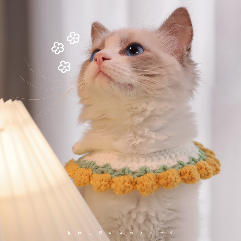 Colorful Handmade Adjustable Cat Knitted Collar petin