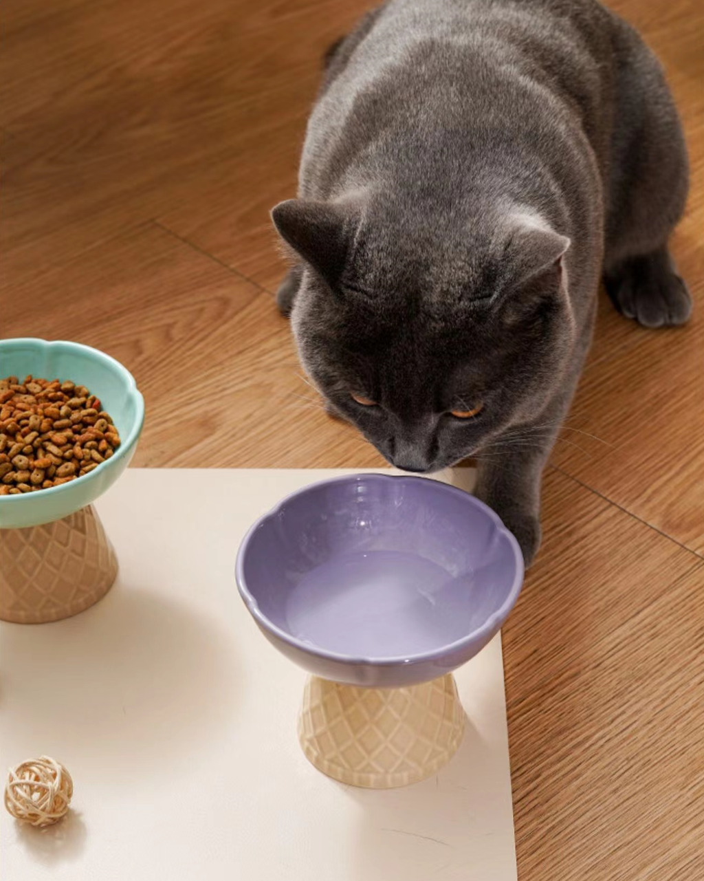 Colorful Ice-cream Elevated Pet Food Bowl petin