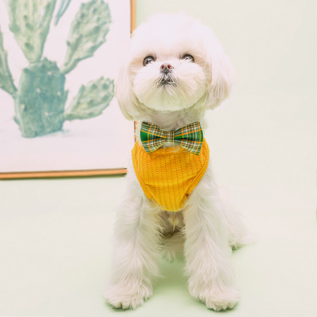 Colorful Plaid Bowknot Cotton Dog Bandana petin