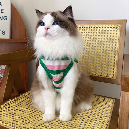 Colorful Striped and Elastic Cat Vest petin