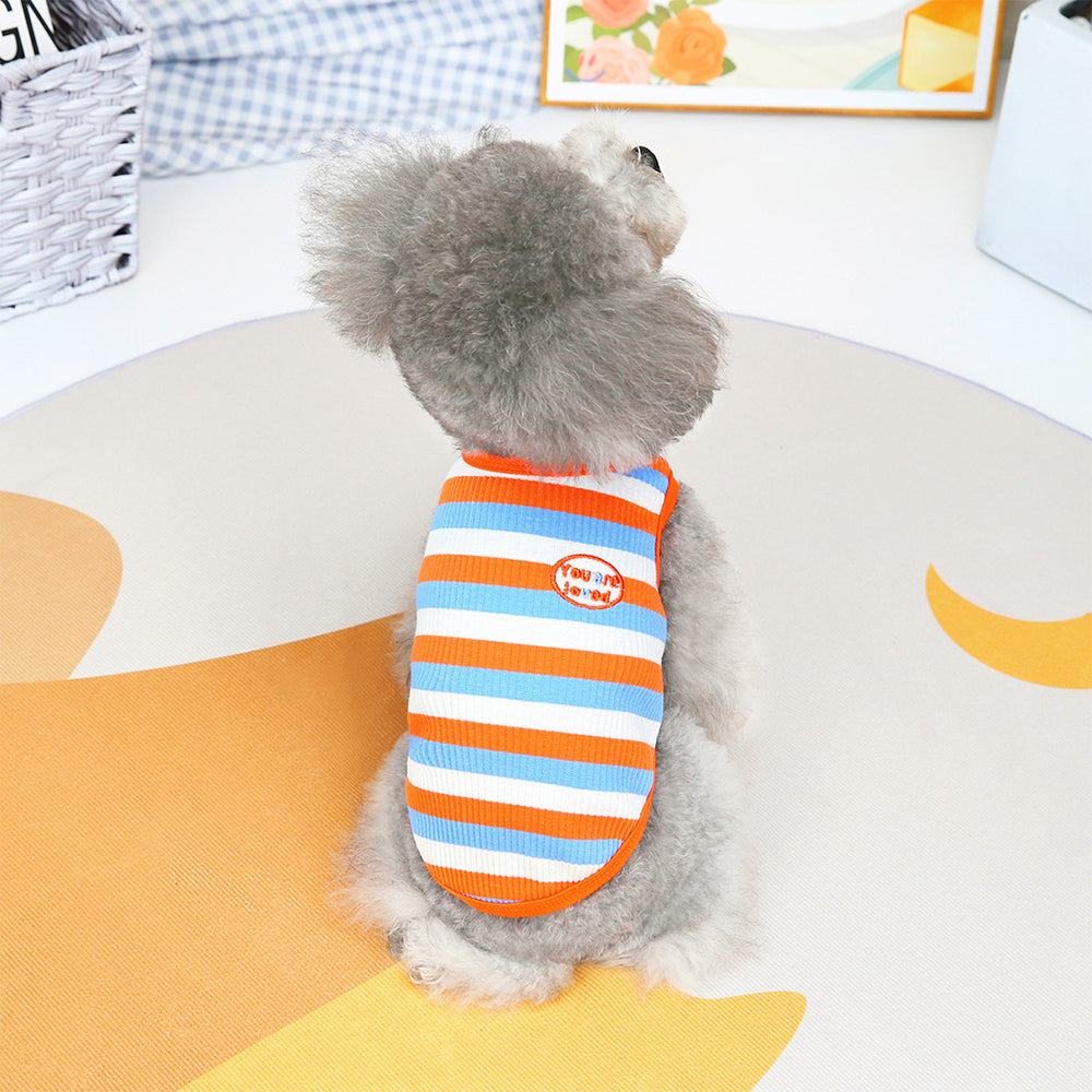 Colorful Striped and Elastic Cat Vest petin